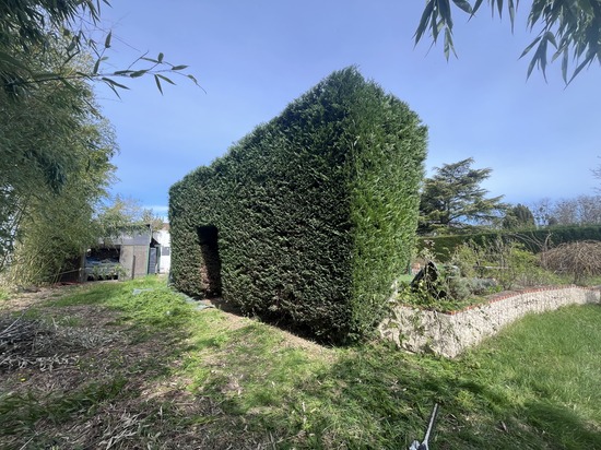 Taille de haies et d'arbustes