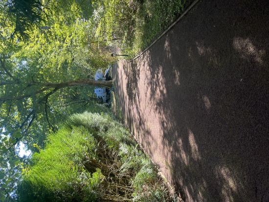 Terrassement - Assainissement