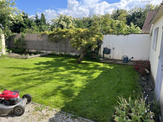 Tonte de pelouse - Débroussaillage